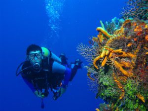 I Love Scuba