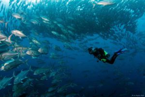Cocos Island, Costa Rica