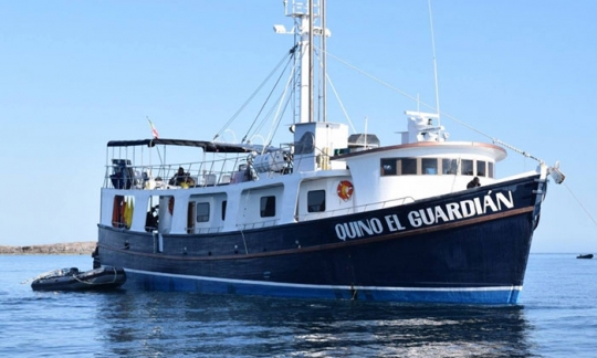 Quino El Guardian - Cocos Island Liveaboards