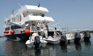 Avalon II - Cuba Liveaboard Dive Boat