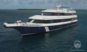 Belize Aggressor III - Belize Liveaboard Diving