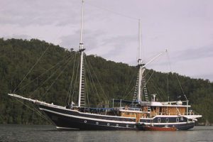 MSY Seahorse Indonesia Liveaboard Dive Boat