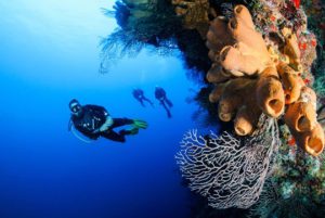 Bali Wall Diving