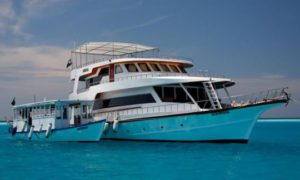 MV Sheena - Maldives Liveaboard Diving