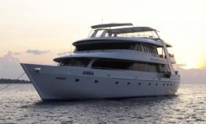 MV Amba - Maldives Liveaboard Diving