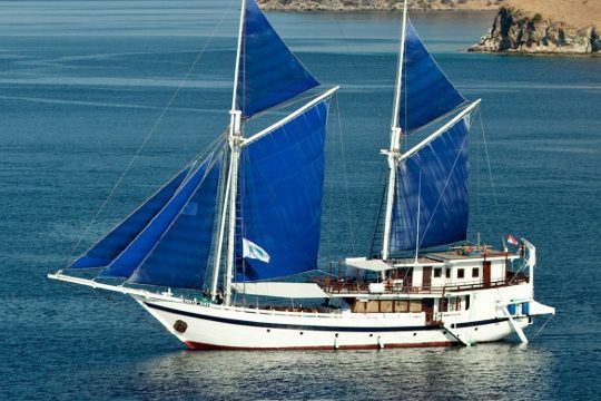 Indo Aggressor II Komodo Island Liveaboard