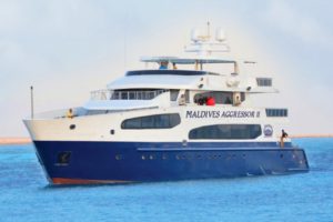 Maldives Aggressor II - Maldives Aggressor II