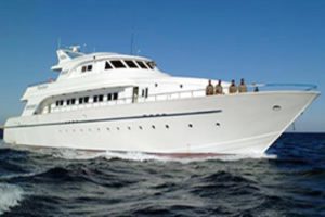 MY Excellence - Red Sea Liveaboard Diving