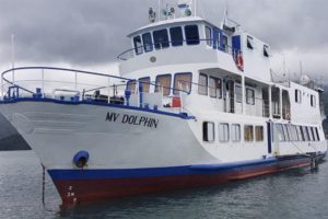 MV Dolphin Philippines liveaboard