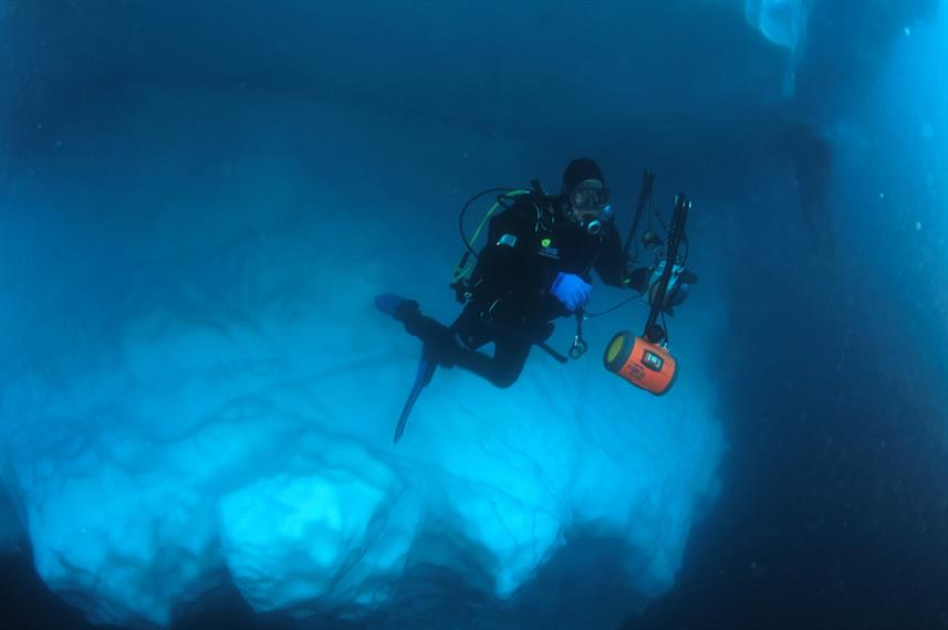 Diving in Antarctica MV Plancius Liveaboard