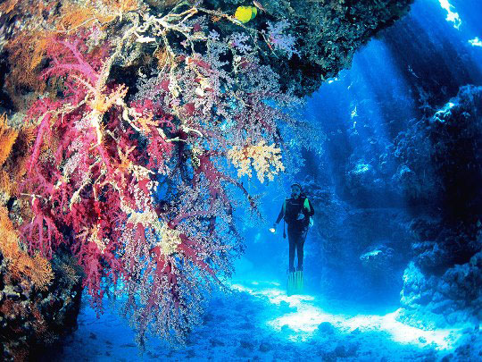 Andaman Sea - Phuket, Thailand Liveaboard Diving