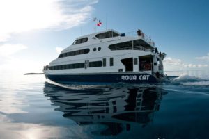 Aqua Cat - Bahamas Liveaboard Dive Boat