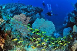 Nosy Be - Madagascar