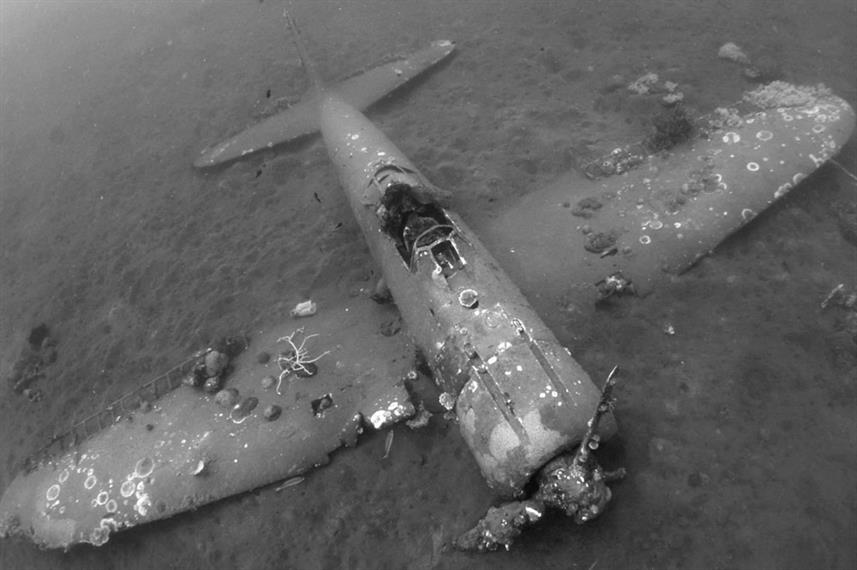 WWII plane wreck PNG