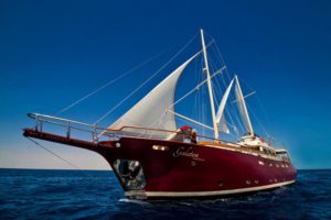 MV Galatea Seychelles Liveaboard