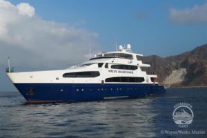 Oman Aggressor Liveaboard Dive Boat