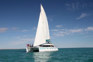 Shore Thing - Ningaloo Reef Liveaboard