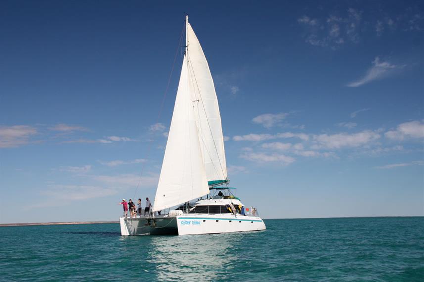 Shore Thing Australia Liveaboard Diving