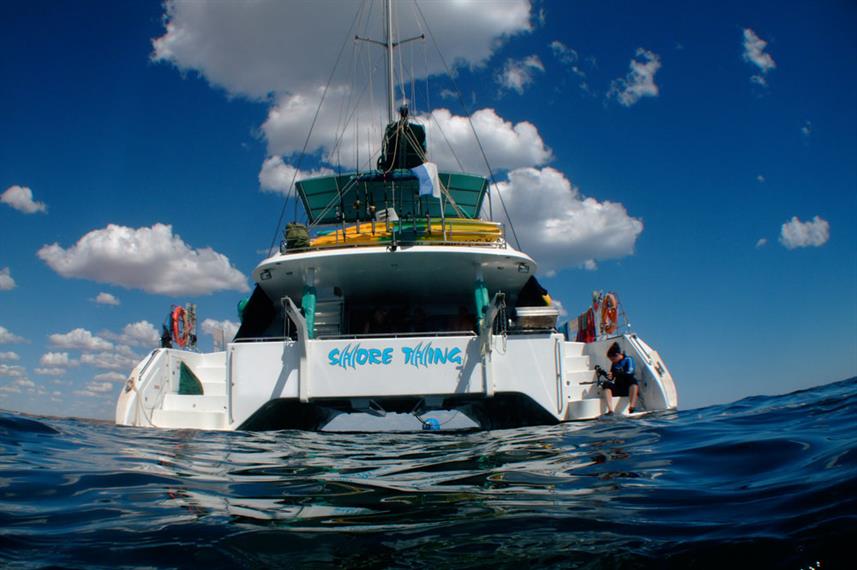 Shore Thing Australia Liveaboard Diving