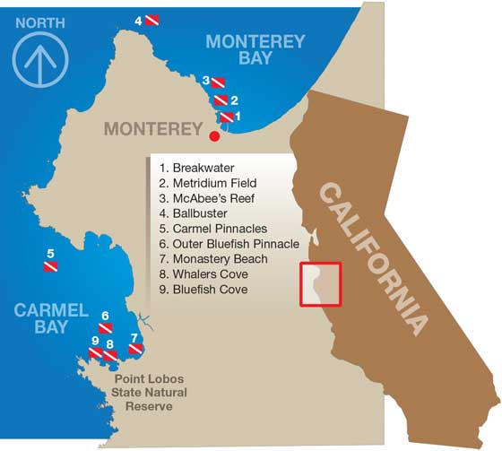 Monterey Bay Dive Sites Map