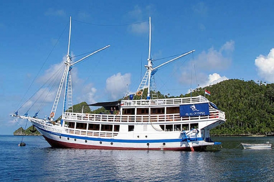 MV Pearl of Papua Cenerawasih Bay Liveaboard Dive Boat