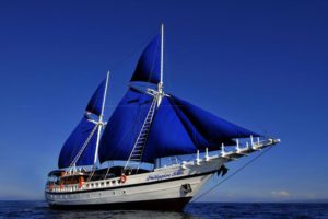 SY Philippine Siren Philippines Liveaboard Diving