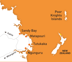 Tutukaka New Zealand Map