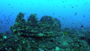 MV Chief Dragon Wreck - Sri Lanka
