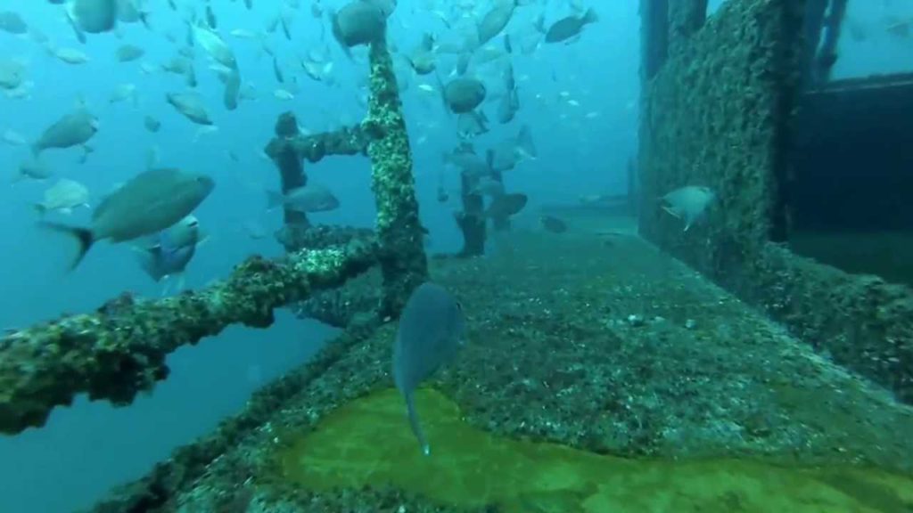 Pete Tide II Shipwreck - Pensacola, Florida