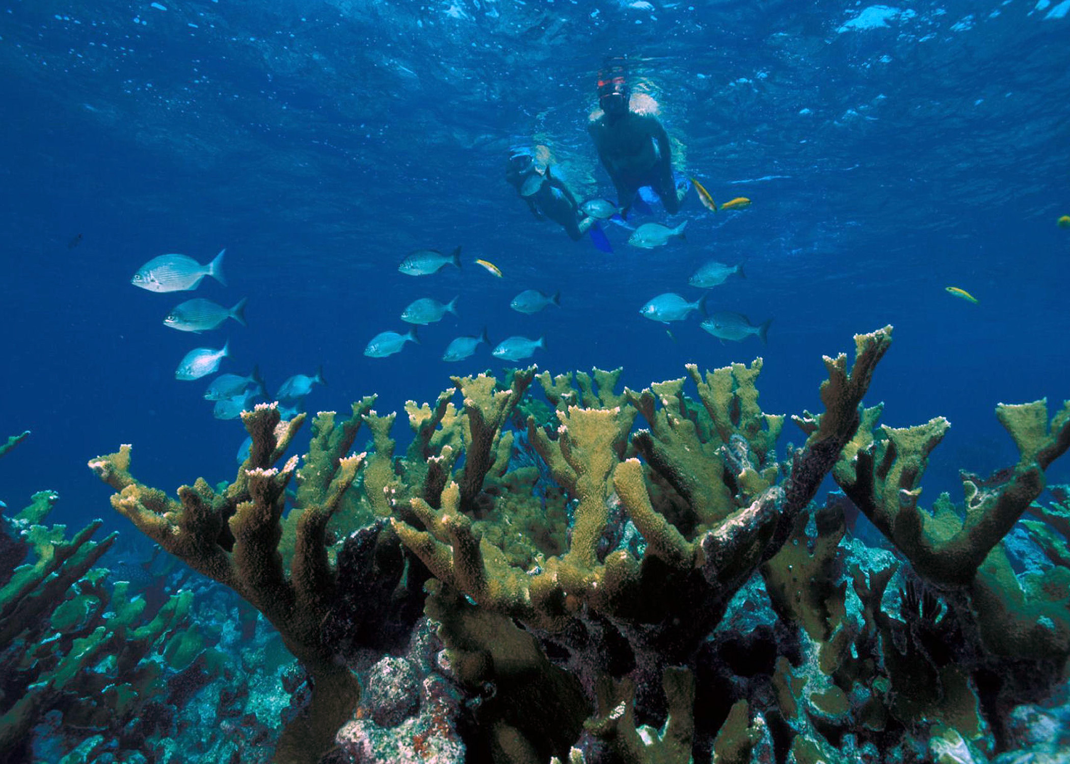 Eagle Shoals, St. John, US Virgin Islands