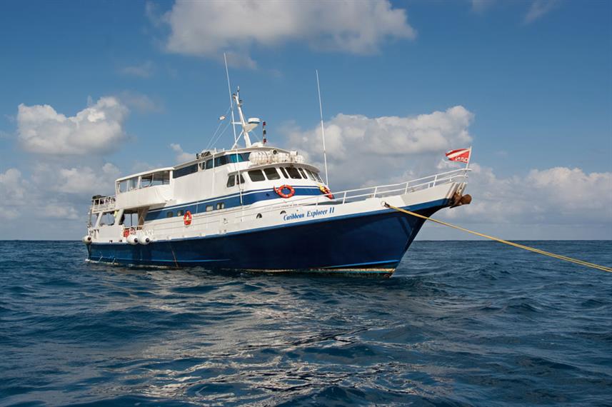 Caribbean Explorer II