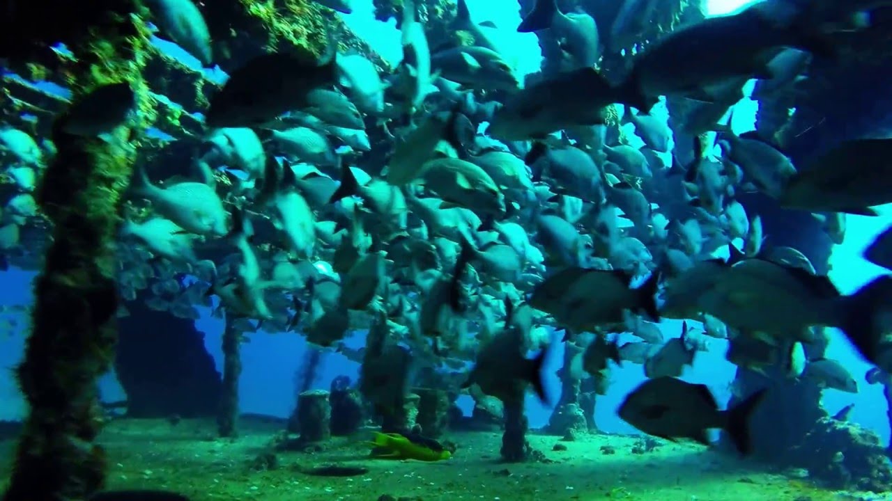 C58 General Anaya Wreck - Cancun, Mexico