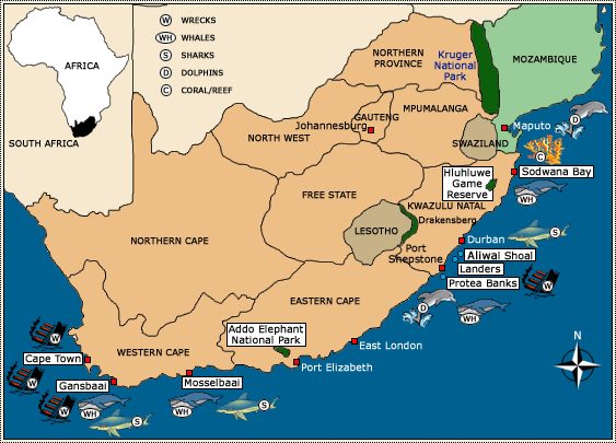 Port Elizabeth, South Africa Location Map