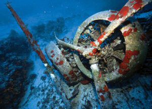 Messerschmitt Bf 109 Wreck - Crete