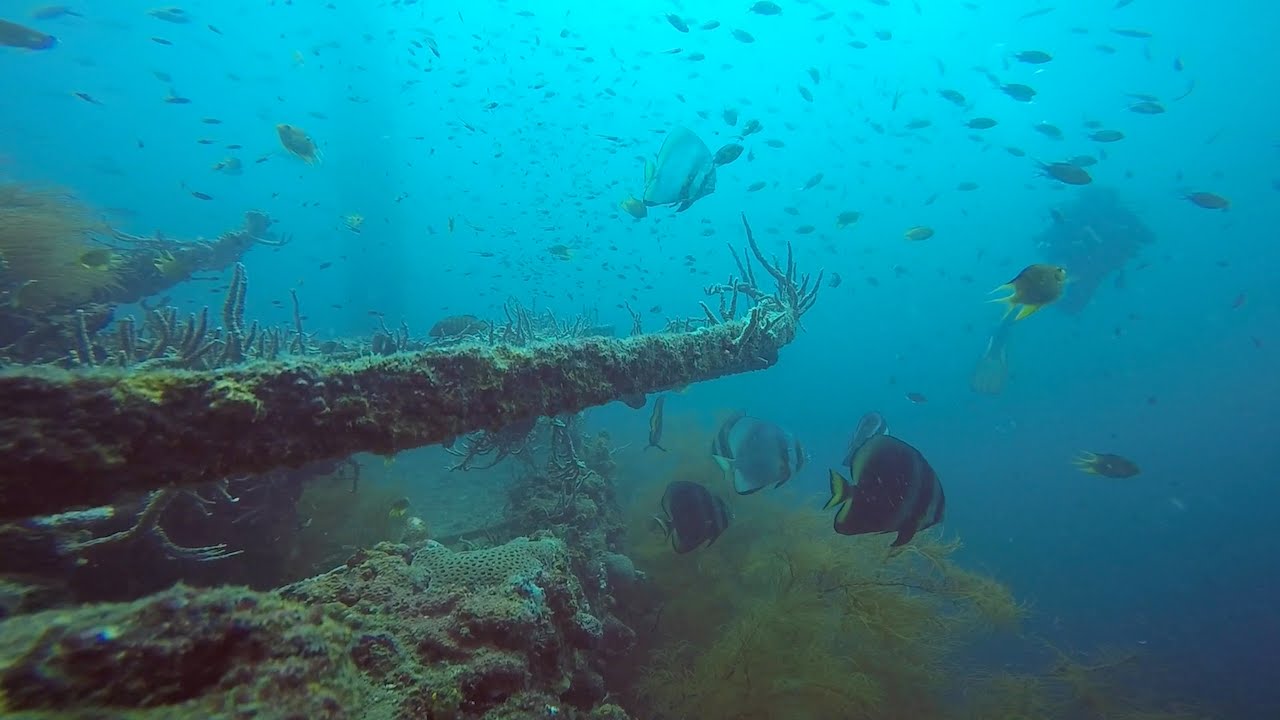 Morazon Maru Wreck - Coron Bay, Philippines