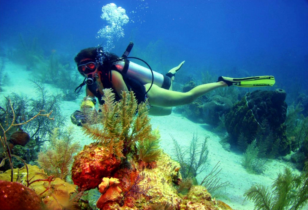 Reasons to Become a Certified Scuba Diver | Joe's Scuba Shack