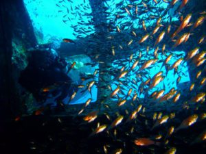 Giannis D Wreck - Abu Nuhas, Egypt