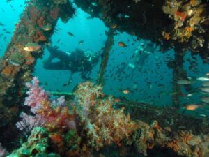 King Cruiser Wreck - Krabi, Thailand