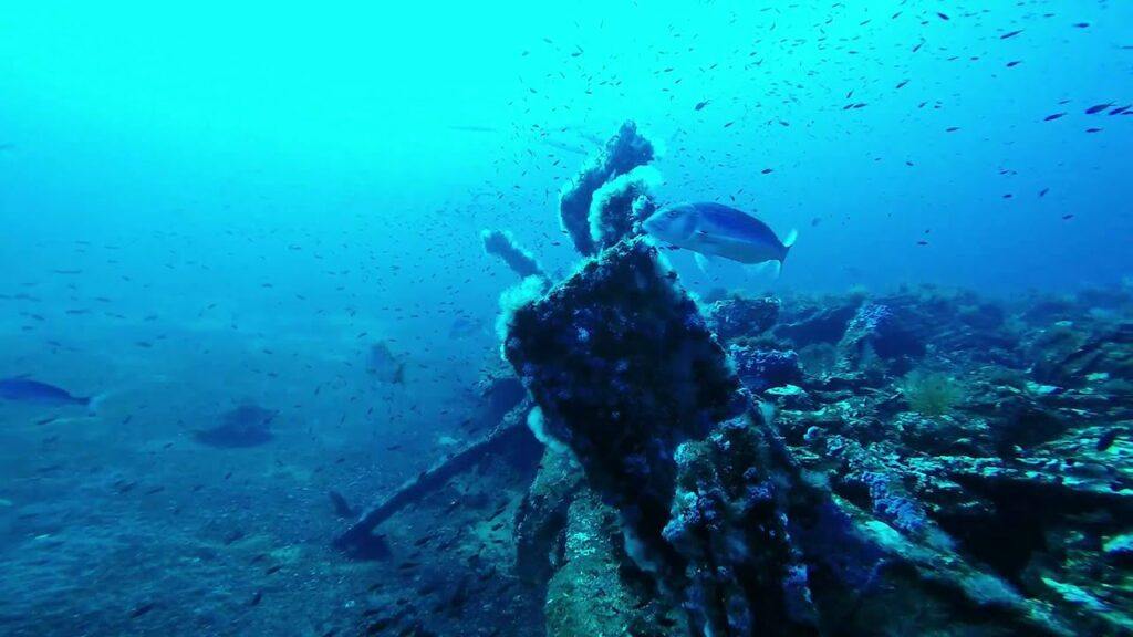 Malakoff Wreck - Menorca, Spain