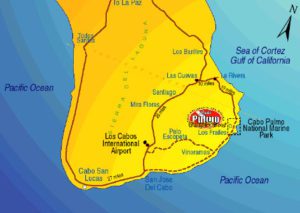 Cabo Pulmo National Marine Park Map