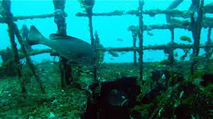 Sand Island Wreck - Kending National Park, Taiwan