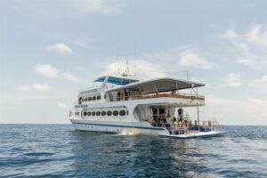 MV Pawara - Similans Liveaboard Diving