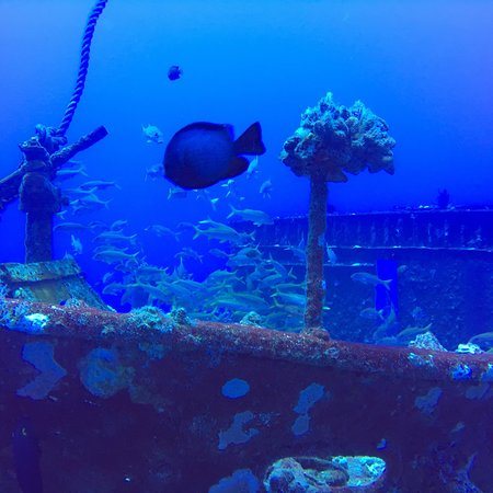 Carthaginian II Wreck - Maui, Hawaii Scuba Diving