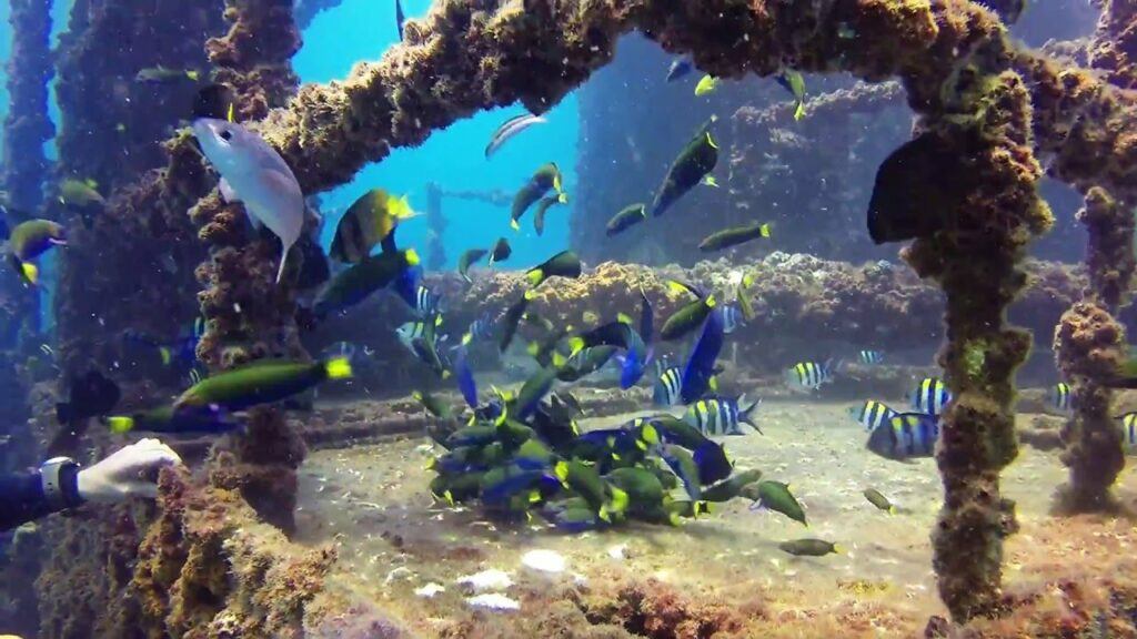 HMAS Brisbane Wreck