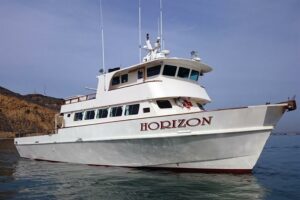 MV Horizon - Guadalupe Island Shark Cage Diving