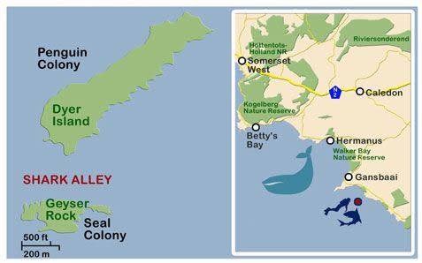 Shark Alley Map - Gansbaai South Africa