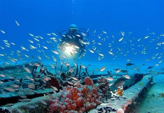 Scuba Diving St. Barts - Wreck Scene