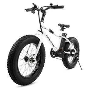 Swagtron EB-6 Bandit Electric Fat Bike - Best Affordable Electric Bikes