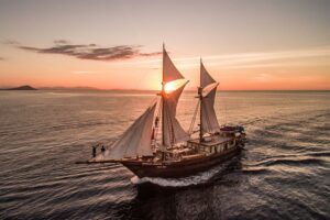 Carpe Diem - Last Minute Liveaboards & Special Offers